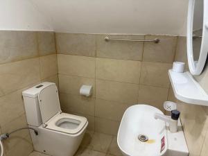 Palm Breeze Kokuvil G1