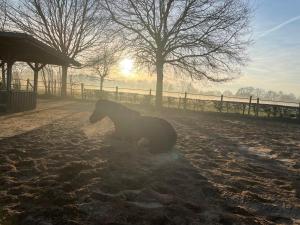 Equi Guidance Studio