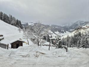 Pfandlinghof