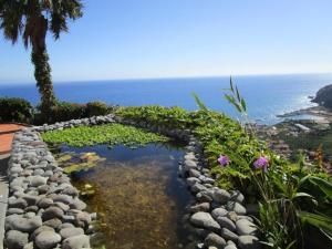Sea Sky House with private pool by Holiday Rental Madeira