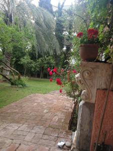 Villa with big garden