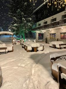 Edelweiss Central Hotel