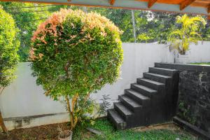 Chapa Resting Place
