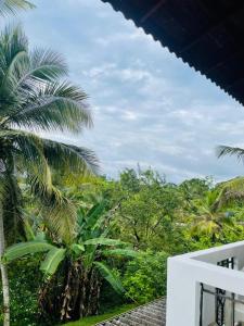 Villa Cinnamon Wave