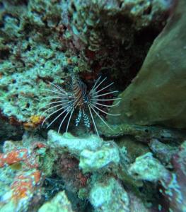 The National Park Villa with Private Pool