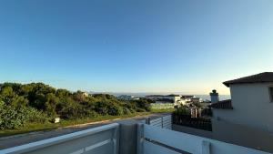 Pepper on St Francis