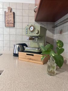 Appartamento tra le colline marchigiane