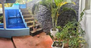Bird Park Villa Ella