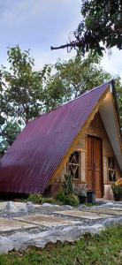 Sumatra Thomas Leaf Monkey Guesthouse & Jungle Trek