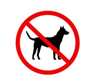 Victory ECOLOFT studios