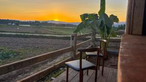 DeeTorJai FarmStay Nan ดีต่อใจ ฟาร์มสเตย์ น่าน โดยเจ้าของ