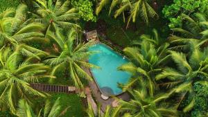Elysera Glamping & Resort