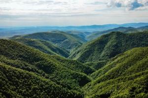 Pensiunea Lara & Mara