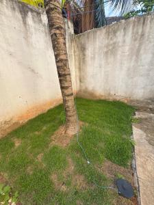 Apartamento 2 quartos com Garden