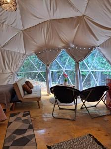 Domo Glamping en el bosque