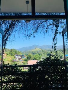 Ella Dream Mountain