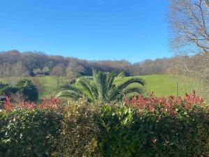 Récent House, low energy, 10 mn from Bayonne