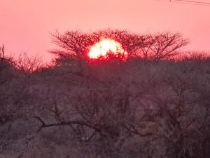 Tamboti Farm Camp Sites