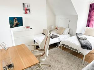 11 Guests - 6min Drive to the Wembley Stadium