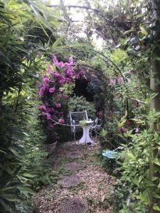 Cozy Nook boutique Cottage