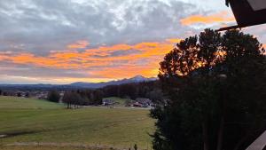 Prassberger Urlaub auf dem Bauernhof