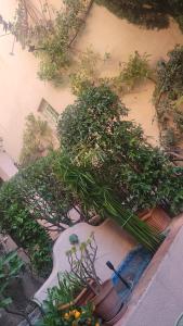 Maison de village privative calme avec jardin Terrasses Cogolin vieux Village