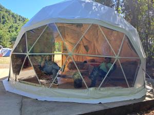 Domo Glamping en el bosque - Coñaripe