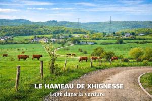 La Grange de David gîte de standing 5 ch 5 sdb - Access-i