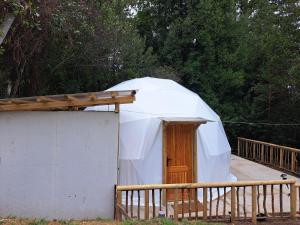 Domo Glamping en el bosque - Coñaripe
