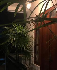 Villa Galle Inn