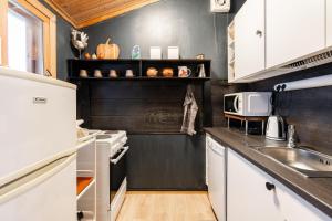 Newly Renovated 2BR Cabin in Riihivuori