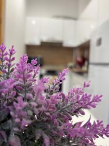 Luxury & Comfort near the University