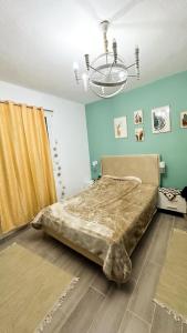 Compact Comfort Studio in Hammam Sousse