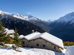 Chalet traditionnel proche des pistes avec grande terrasse - FR-1-690-29