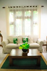 Cinnamon River Retreat