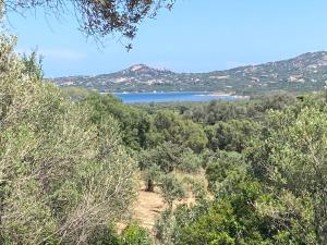 Villa on the Emerald Coast, Sardinia