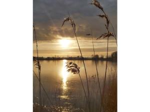 App 63 Comfortable holiday residence