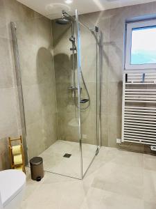 Apart Erle 181 Top 4