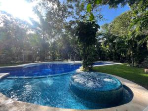 Natural paradise in playa del carmen