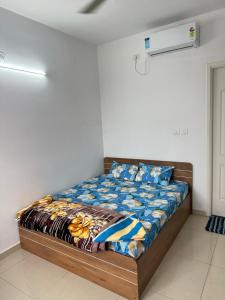 Dream Den Snow