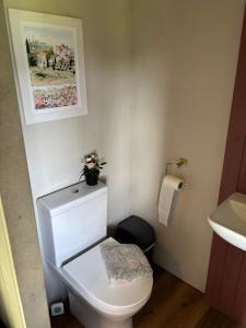 The Cabin at South View