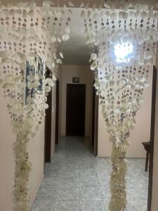 Casa Flecheiras Icedrink