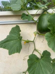 Escapade & Bien être