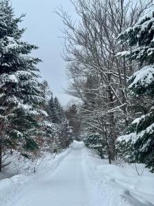 Chalet Le Crépuscule SPA, BILLARD, FOYER, SENTIERS PRIVES