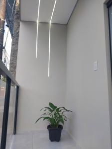 Que a felicidade vire rotina