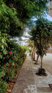 Quarto em Casa dos Gatos