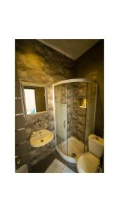 Jacuzzi Apartment H Požarevac