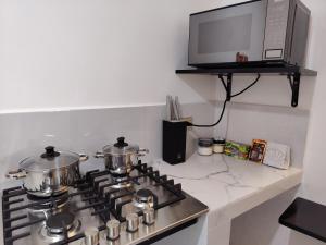 Galapagos Santa Cruz Apartment-Pinzon