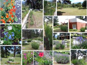 Tafi del Valle - La Quebradita