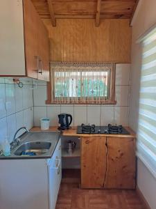 Cabaña entre Hualles